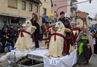 Bild: Alle Bilder Michael Krause
Fastnachtszug Hattersheim 2020