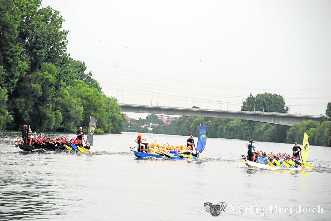 Die Drachenbootpaddler kämpften um jeden Zentimeter und gaben beim vierten Cup des Rudervereins am Wochenende ihr Bestes.