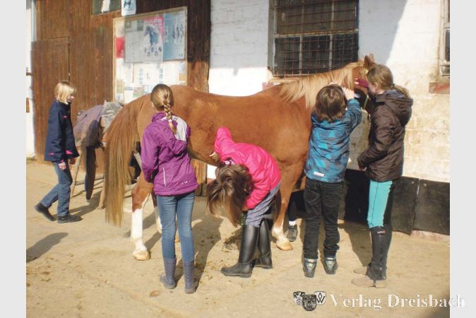 Zu den ersten Erfahrungen, die die Ferienkinder mit den Pferden machten, geh&ouml;rte auch das Striegeln und die Fellpflege.&nbsp;&nbsp; &nbsp;?(Foto: privat)

&nbsp;