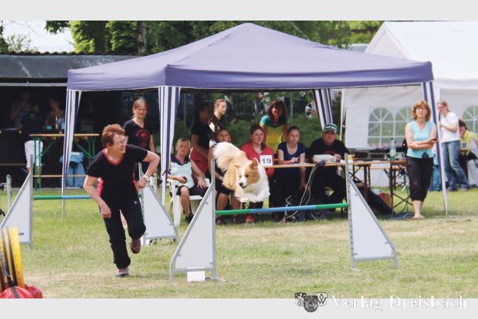 Solche sch&ouml;nen Bilder kann man auf einem Agility-Turnier bestaunen: Neben der Pressewartin der AFRM, Monika Petrovski, &bdquo;schwebt&ldquo; ihr Australian Shepherd &bdquo;Ice&ldquo; im Parcours &uuml;ber eine H&uuml;rde.&nbsp;&nbsp; &nbsp;?(Foto: A. Kreusch)

&nbsp;