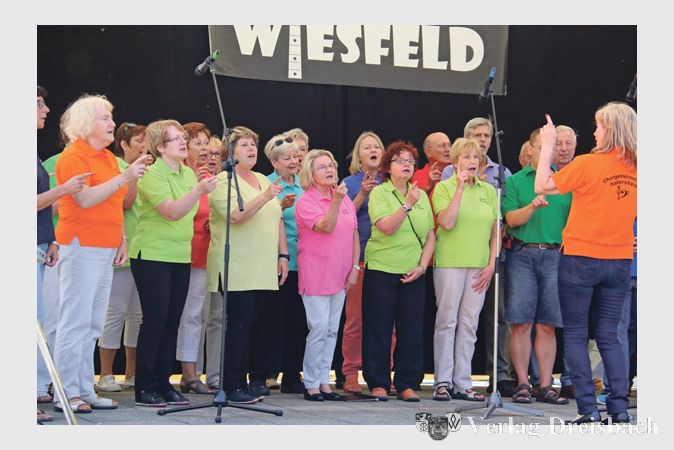 In bunten T-Shirts mit ihren Namen sangen die S&auml;ngerinnen und S&auml;nger der Hattersheimer Chorgemeinschaft.