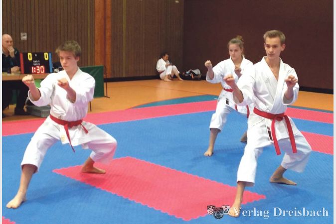 Die Ginsheimer Karatekas auf dem Weg zum Titel.
(Fotos: Moise)