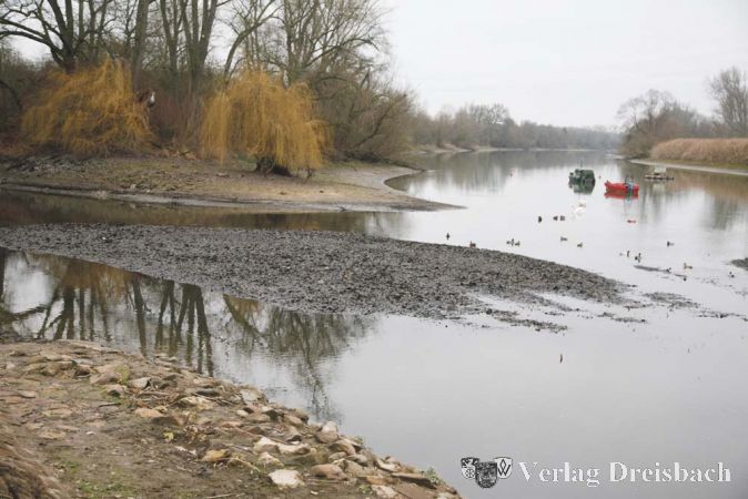Der Tiefstand des Wasserpegels zum Jahresbeginn legte sehr deutlich offen, wie stark die M&uuml;ndung des Schwarzbaches in den Altrhein inzwischen wieder zugeschlammt ist.
(gus/Fotos: Steinacker)
