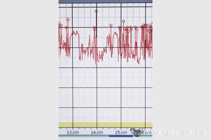 Der gegen 14 Uhr &uuml;ber der Kreuzung Weilbacher Stra&szlig;e/Rheinallee gemessene Flugl&auml;rm war mit 88 dB(A) &uuml;berdurchschnittlich hoch.
(Grafik/Datensatz: DFLD)