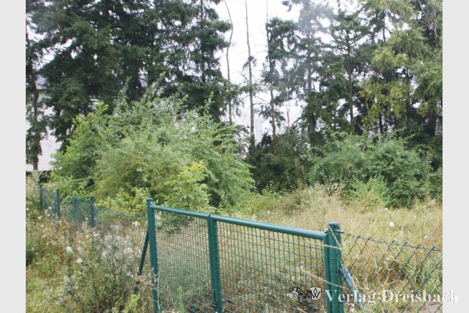 Ein Grundst&uuml;ck, das sich der neuen Bebauung Ulmenstra&szlig;e an der &ouml;stlichen Frankfurter Stra&szlig;e anschlie&szlig;t, ist der Favorit f&uuml;r den Bau der neuen Fl&uuml;chtlingsunterkunft.
(gus/Fotos: Steinacker)