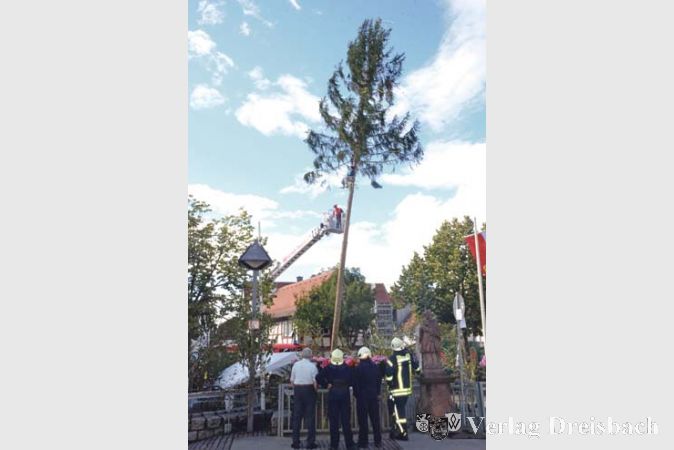Die Freiwillige Feuerwehr schnitt auf Wunsch der Kerbeborsch den sich neigenden Koloss am Sonntagnachmittag klein.