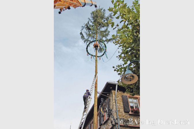 Kerbebobb &quot;Lissi&quot; in luftiger H&ouml;he &ndash; beim Aufstellen des stattlichen, 700 Kilo schweren Kerbebaums war den Kerbeborsch ein Kranwagen behilflich. Das war auch schon mal anders, wie ein Blick in die Vergangenheit zeigt.