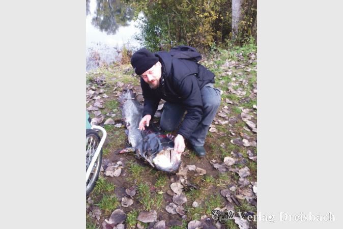 Sportangler Marco Wendt mit seinem &Uuml;berraschungsfang aus dem Okrifteler See &ndash; einem Wels von 2,04 Metern L&auml;ge und 45 Kilogramm Gewicht.
(Foto: privat)