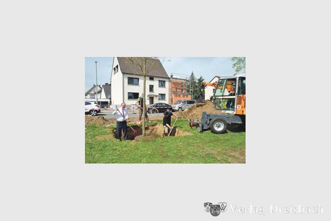 Acht Tulpenb&auml;ume werden an den Standort der gef&auml;llten 13 Tulpenb&auml;ume in der Riedstra&szlig;e gepflanzt. Insgesamt pflanzt der Bauhof in diesen Tagen 31 B&auml;ume im Stadtgebiet, weitere folgen dann im Herbst.
(Foto: R. D&ouml;rh&ouml;fer)