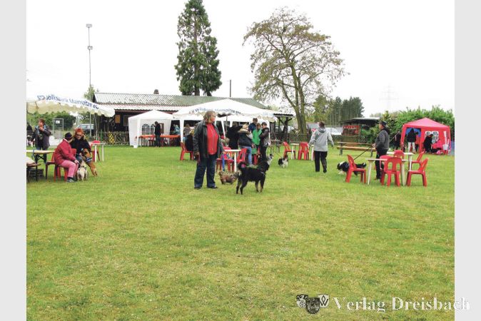 Auf dem Vereinsgel&auml;nde des Sch&auml;ferhundevereins fanden sich trotz Regenwetters zahlreiche Besucher ein.
(Foto: privat)