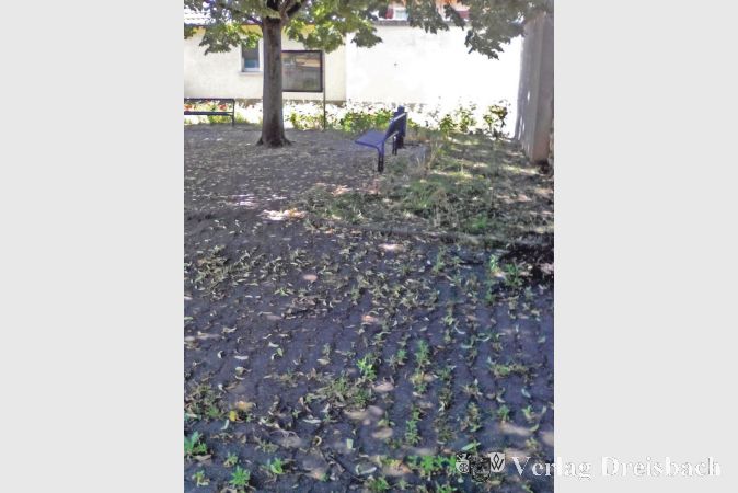 Aus der Anlage des offenen Briefes der Freien Wähler: Eddersheimer Lindenplatz, Bildaufnahme vom 27. Mai 2017