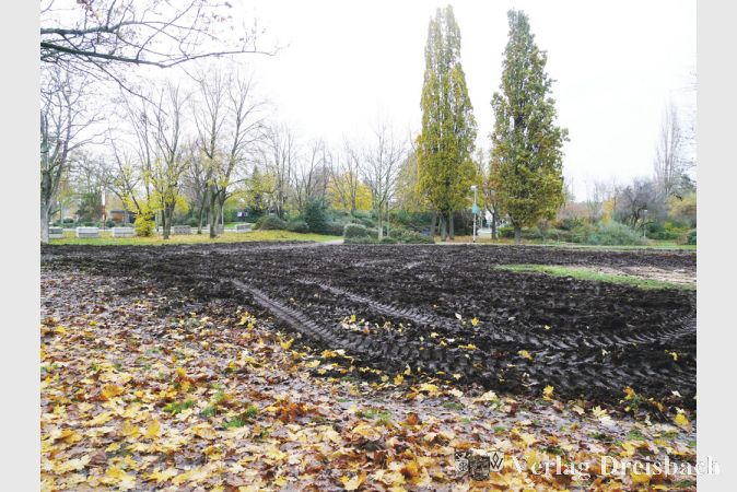Der Bereich zwischen Weiher, Gr&uuml;nem Haus und Mainzer Landstra&szlig;e gleicht einem Truppen&uuml;bungsplatz. Eine externe Fachfirma soll mit der Gel&auml;ndesanierung beauftragt werden. Die Rechnung hat laut B&uuml;rgermeister Schindling der Alm-Betreiber zu begleichen.
(Fotos: M. Krause)

&nbsp;