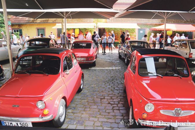 Ein sehr bekanntes Beispiel f&uuml;r &bdquo;Badge Engineering&ldquo;: Der Fiat 500 und sein st&auml;rker motorisierter Zwilling von Steyr-Puch.