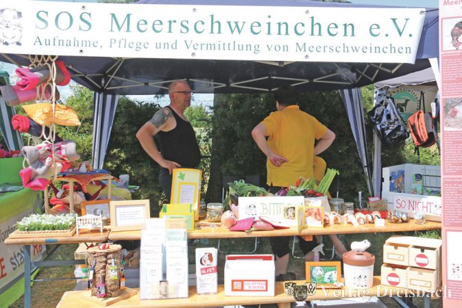 Alles, was Meerschweinchen und ihre Menschen erfreut, konnte man hier erwerben &ndash; nat&uuml;rlich f&uuml;r einen guten Zweck.