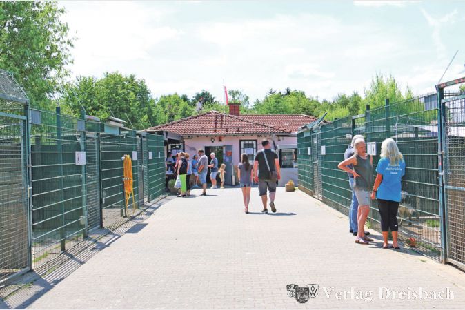 Bei strahlendem Sonnenschein konnten sich die Besucherinnen und Besucher des Sommerfestes einen &Uuml;berblick &uuml;ber das Tierheim verschaffen.
(Fotos: A. Kreusch)
