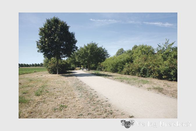 Der Ort, an dem rechts und links des Weges die ersten Ger&auml;te aufgestellt werden sollen.
(gus/Fotos: Steinacker)
&nbsp;