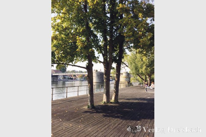 Holzplanken stellen an der Kitzinger Uferpromenade Barrierefreiheit her. Dort gibt es, im Gegensatz zu Fl&ouml;rsheim, kein &bdquo;Wurzelproblem&ldquo;.