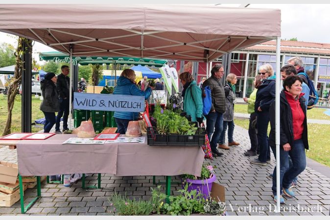 Wild und nützlich: Kräuter der EVIM Schlocker-Gärtnerei.