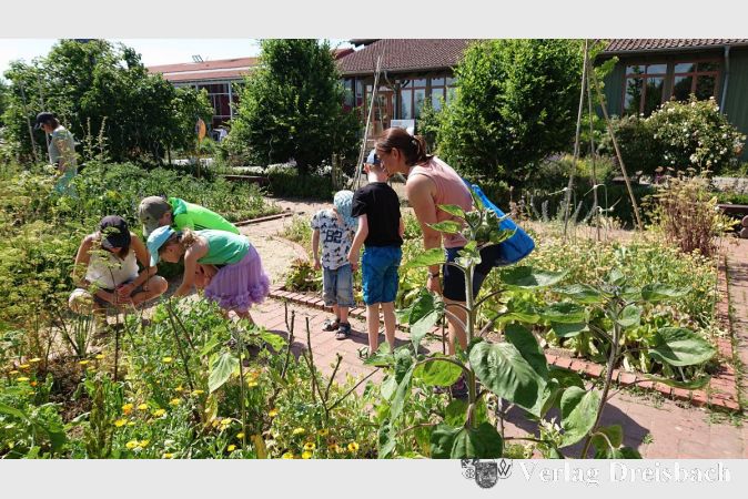 Im Garten vor dem Naturschutzhaus auf der Suche nach den kleinen Kraftpaketen