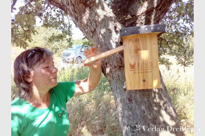 Noch ein letzter prüfender Blick, dann verschließt Cäcilia Habicht den Versuchsnistkasten für Gartenschläfer. Am 17. Mai hängten die Aktiven des BUND Flörsheim insgesamt 25 spezielle Holzkästen für Gartenschläfer auf.