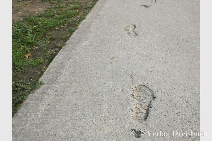 Welche Pfade beschreitet die Stadt angesichts der schlechter werdenden Haushaltszahlen? Das überlässt Bürgermeister Thies Puttnins-von Trotha den Fraktionen, denen er einen unausgeglichenen Haushalt vorlegte.