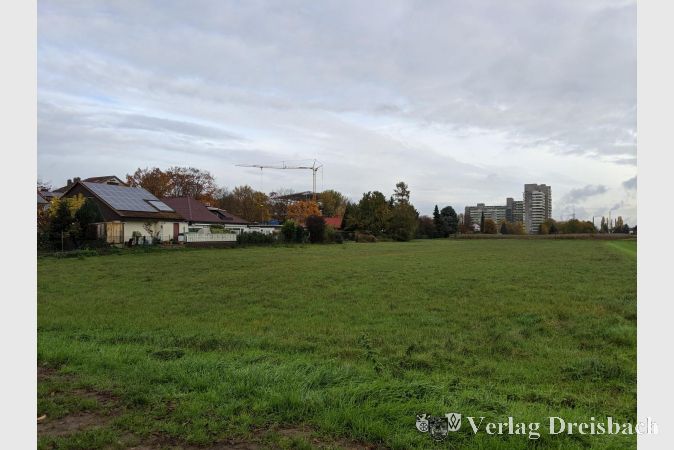 Der neue Schulstandort befindet sich südlich des Südrings, in östlicher Verlängerung der Spindelstraße. Für das Plangebiet am südöstlichen Rand des Stadtteils Hattersheim liegt bislang kein rechtsgültiger Bebauungsplan vor. Ein Bebauungsplanverfahren soll nun die planungsrechtlichen Grundlagen für die dritte Grundschule schaffen.