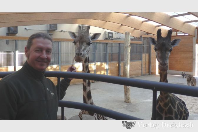 Jörg Jebram mit den Rothschildgiraffen Katharina und Maud.