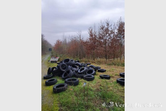 Über 100 Autoreifenw wurde illegal im Krifteler Wäldchen abgekippt.