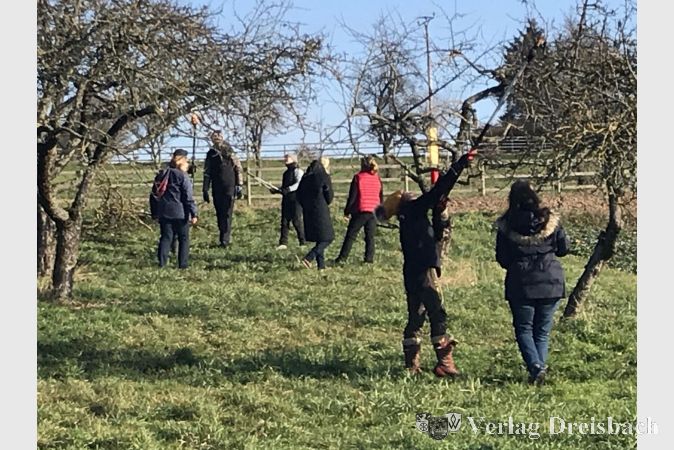 Die erste Aktion des Vereins "Massenheimer Stöffsche" in diesem Jahr war ein Baumschnittkurs unter Anleitung des Landwirts Edwin Kahl.