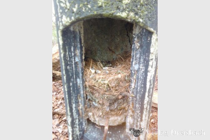 Ein typisches Meisennest: Der Nistkasten ist höchstens zur Hälfte mit Nistmaterial gefüllt.