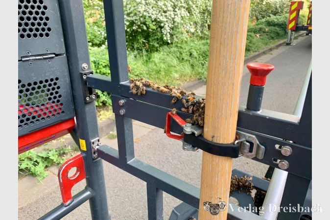 Die Gondel der Drehleiter als "Bienentaxi".