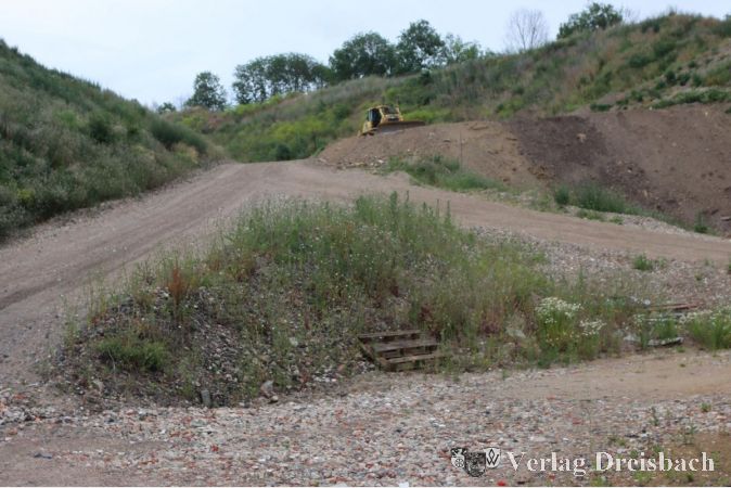 Die MTR und ihre Wohltaten I: Mit dem Erwerb des stillgelegten Steinbruchgeländes der Firma Dyckerhoff begann die RMD-Tochter mit der Rekultivierung des Geländes, das eines Tages ein frei zugängliches Ausflugsziel samt Aussichtspunkt werden soll.