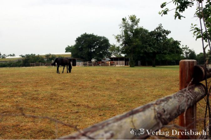 Die MTR und ihre Wohltaten II: Der im Verfall begriffene Pferdehof am Falkenberg konnte durch das Engagement des Unternehmens drei Reitvereinen als Standort gesichert werden, unterstreicht Gerd Mehler.
