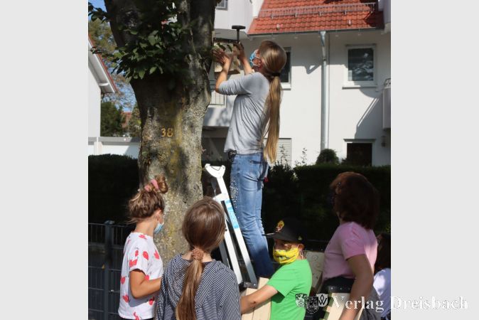 Auf mindestens zwei Metern Höhe müssen die Kästen hängen, damit die Vögel nicht mit den Menschen ins Gehege kommen. Die gibt es auf so einem Schulhof schließlich zu Genüge.
