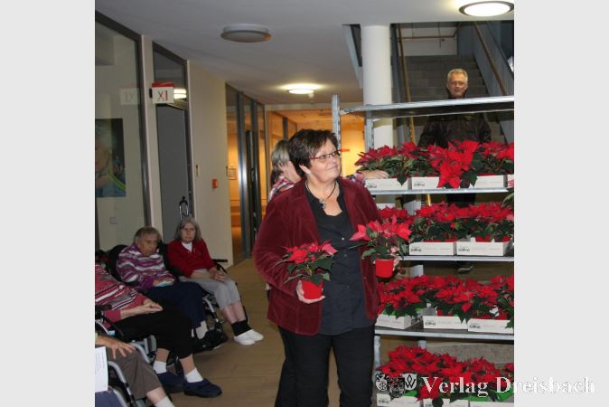Susanne Peschke Weihnachten 2016 beim Verteilen von Weihnachtssternen für ein festlich geschmücktes Kursana Domizil