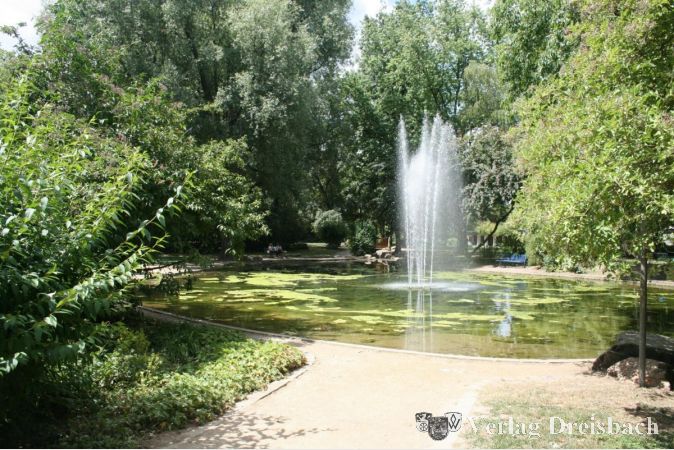 Der Weiher im Freizeitpark im August 2020. Durch das warme Wetter hatten sich Algenteppiche auf der Wasseroberfläche gebildet.