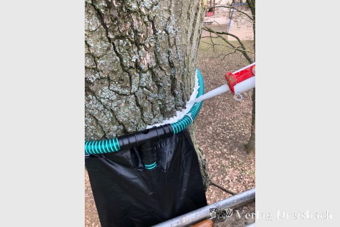 Eine neue Bekämpfungsmethode ohne Chemie wird jetzt im Freizeitpark erprobt.