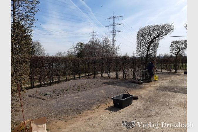 Der nordöstliche Bereich des Ziegeleiparks wurde neu bepflanzt.