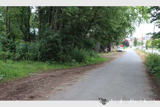 Die Voraussetzungen für ein attraktives Gelände sind am angedachten Weilbacher Treffpunkt für die Jugend (links rein) super, aber ist das noch ortsnah genug? Das müssen die Gremien entscheiden, aber allzu weit ist es zur Wohnbebauung nicht.