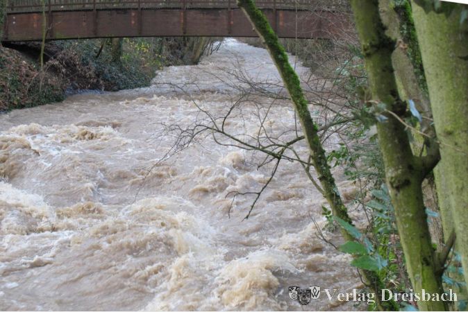 Der Schwarzbach bei Hochwasser.