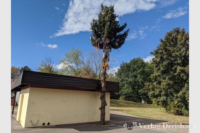 Und es gab im vergangenen Jahr doch wenigstens einen Kerbebaum - wenn auch in etwas kleinerem Maßstab.