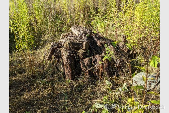 Totholz ist ein beliebter Wohnort für viele Wildbienenarten.
