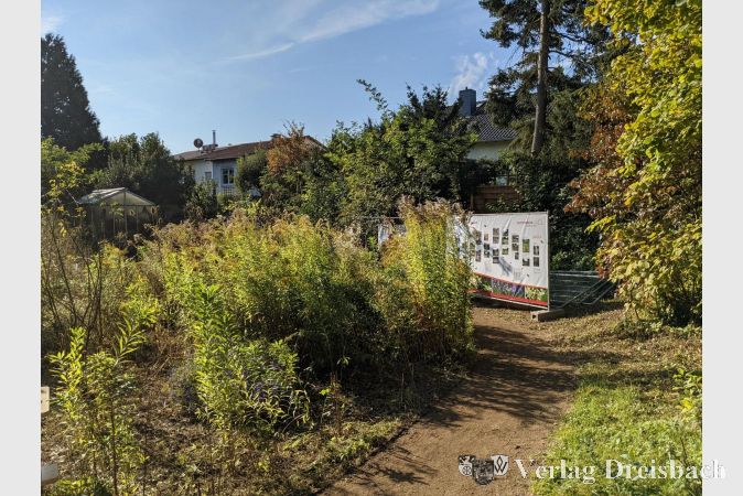 Am Anfang des Rundwegs erläutere eine Bauzaunausstellung die Geschichte des Wildbienengartens.