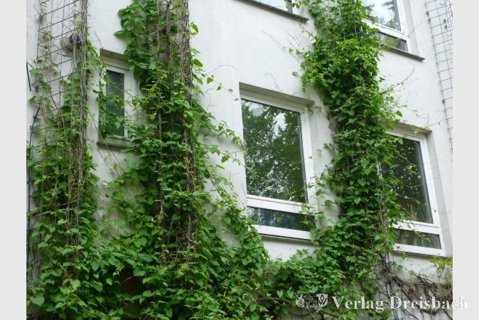 Unter anderem Fassadenbegrünung kann zum Prinzip einer Schwammstadt beitragen...