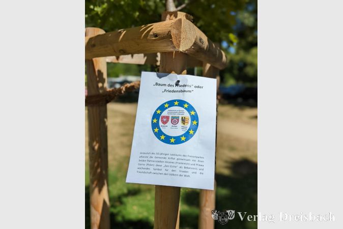 Die Plakette am neuen Friedensbaum gibt Aufschluss über den besonderen Hintergrund dieser Pflanzung.