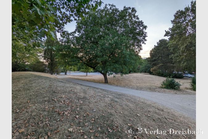 Großflächiges Braun im Freizeitpark: Die anhaltende Trockenheit ist auch hier nicht zu übersehen.