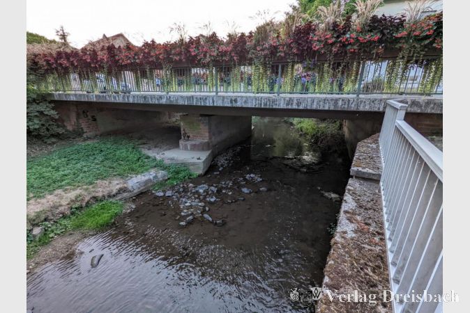 Der Schwarzbach am Dienstagabend. Die üppige Brückenbepflanzung verhüllt den Blick auf einen noch nicht katastrophal anmutenden, aber dennoch niedrigen Wasserstand.