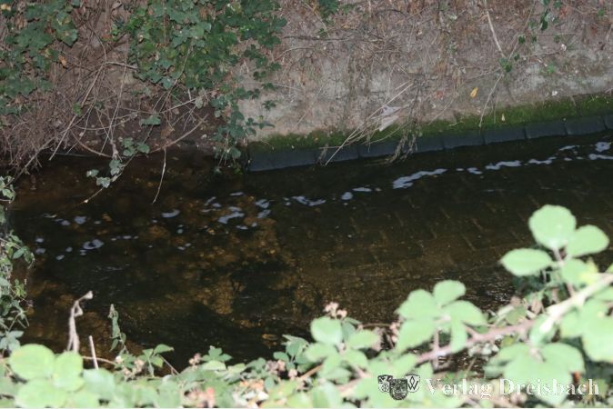 Dass im Wickerbach unterhalb des Klärwerks plötzlich wieder ein wenig Wasser fließt, dafür sorgt Einlass kurz hinter der Kreuzung Böttgerstraße.