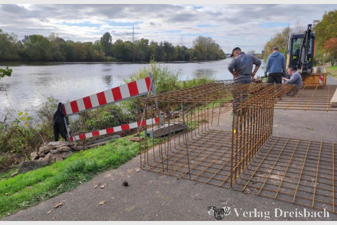 Am Mainufer soll die Steganlage des Rudervereins durch eine Verankerung ganzjährig einsetzbar werden.
