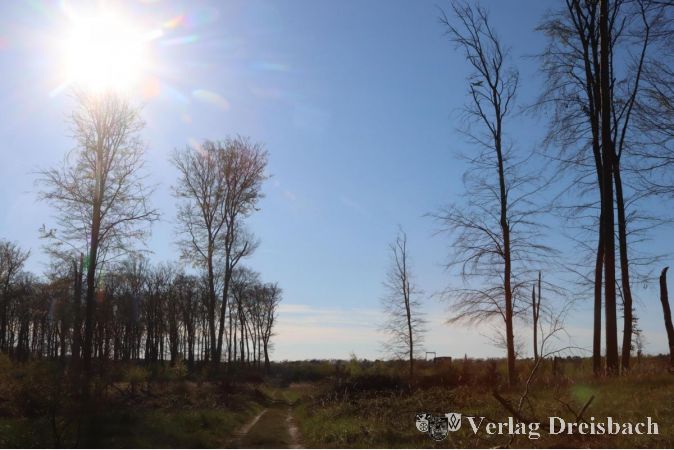 Verluste mit Auslichtungen als Folge der Klimaproblematik gibt es auch im Flörsheimer Wald hier und dort, das Forstamt sieht die Besitzung der Stadt im Wald bei Raunheim aber als nicht sehr gefährdet.